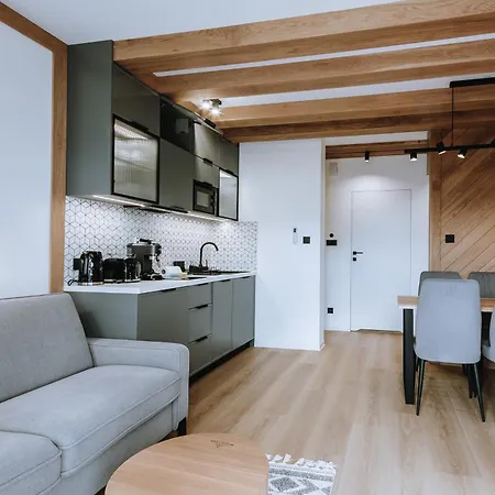 Widokowka Sauna Widok Na Panorame Tatr Kościelisko